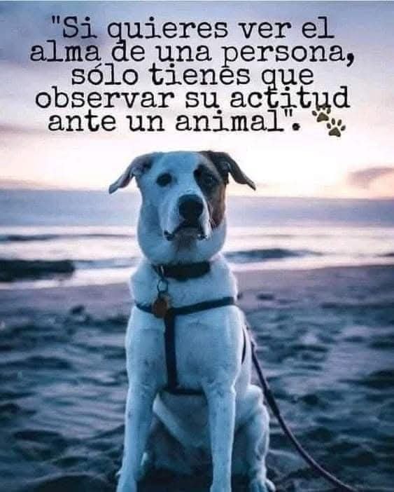Si quieres ver el alma de una persona