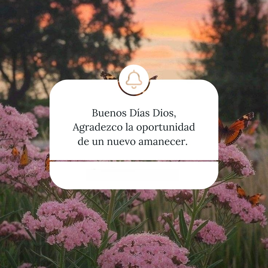 Buenos días Dios. Agradezco la oportunidad de un nuevo amanecer