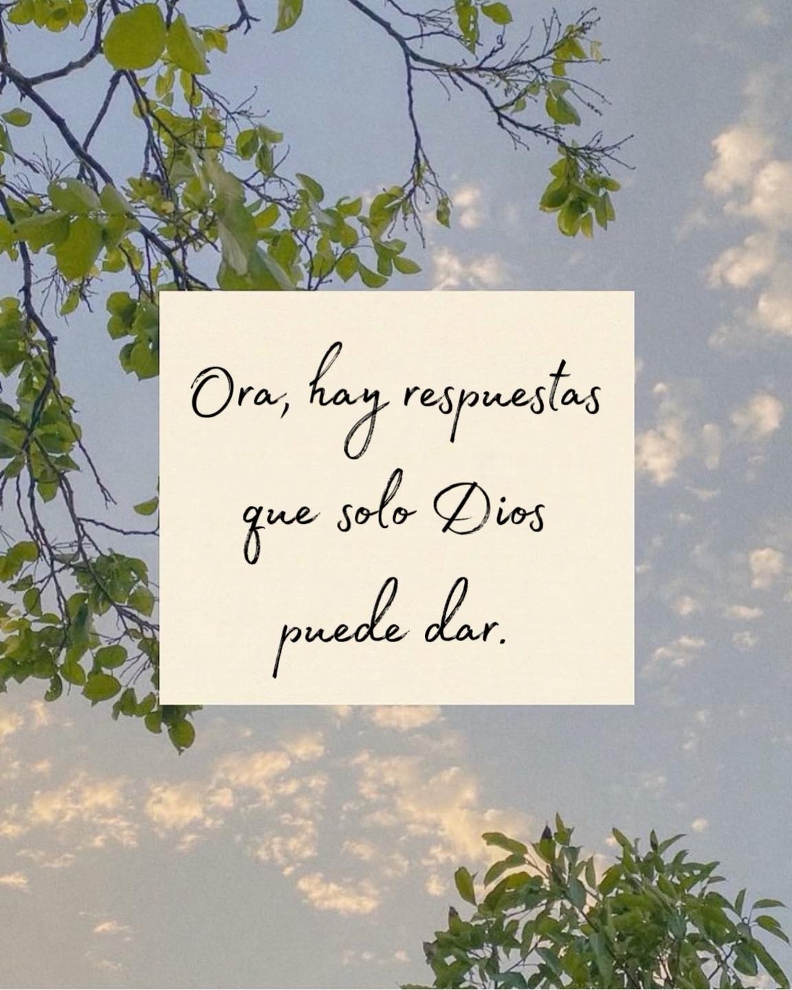 Ora, hay respuestas que solo Dios puede dar