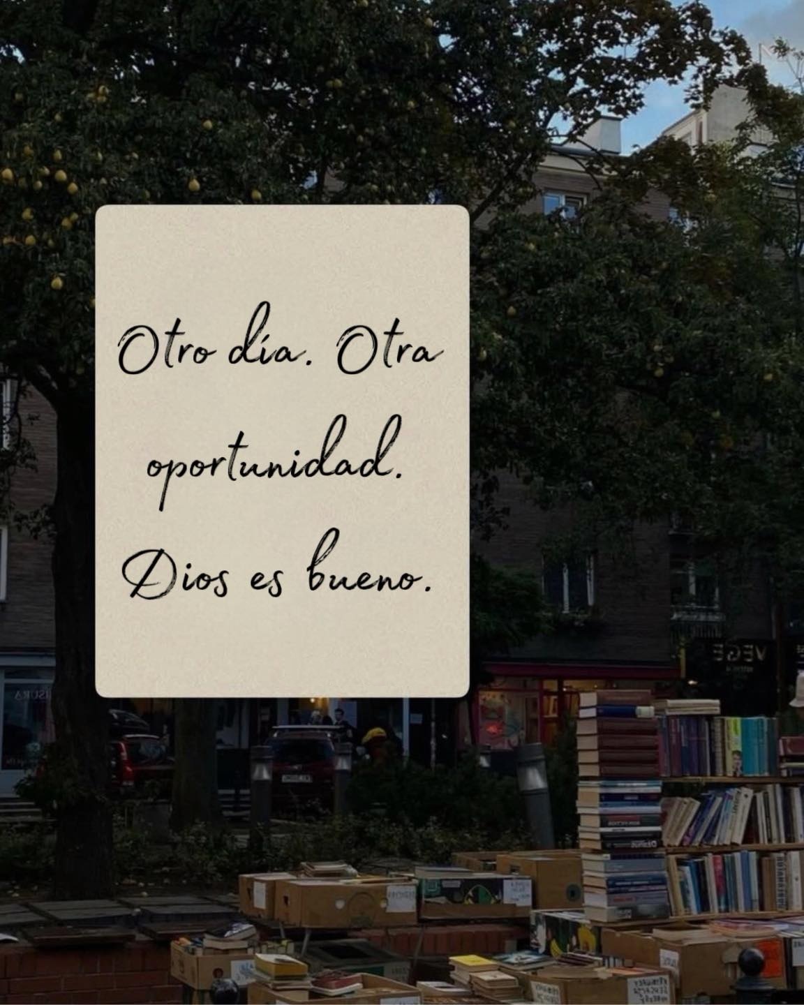 Otro día. Otra oportunidad. Dios es bueno
