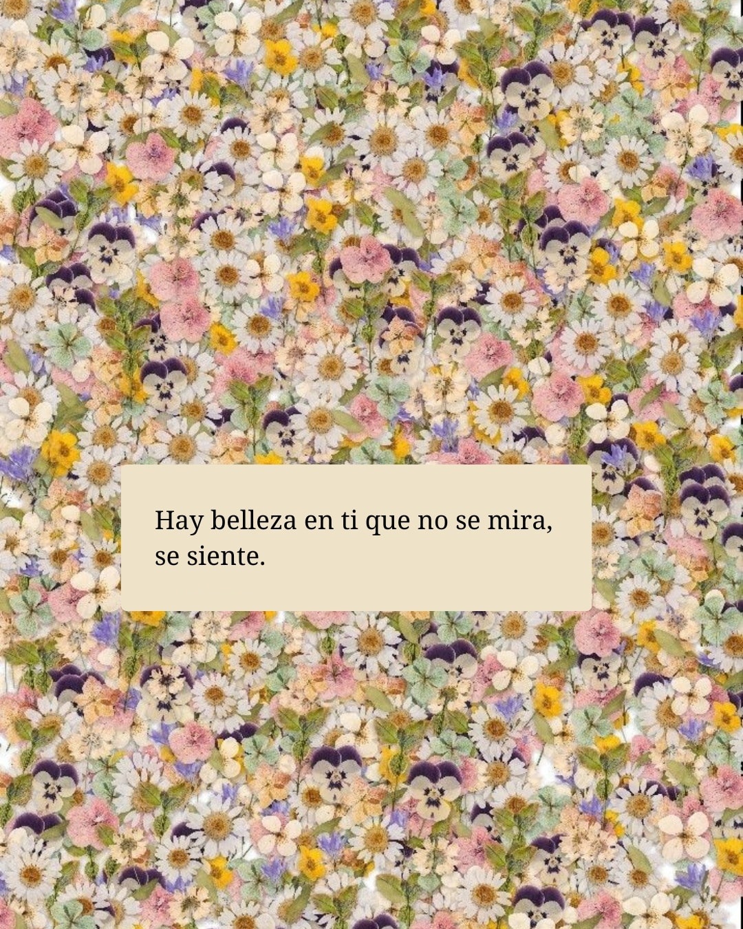 Hay belleza en ti que no se mira, se siente