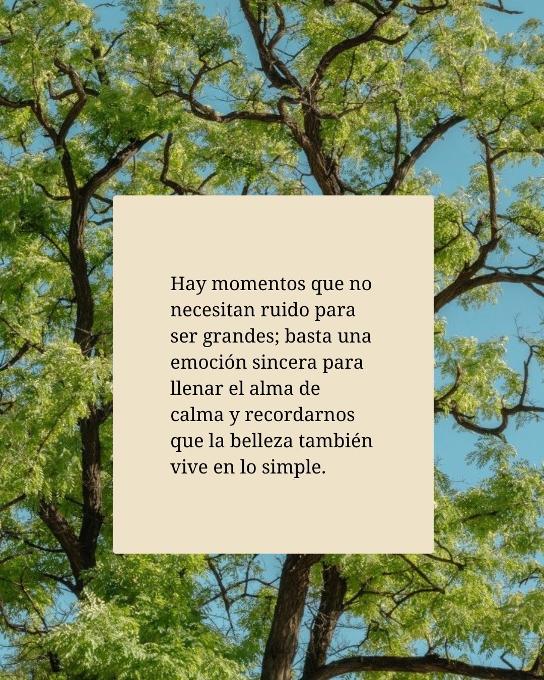 Hay momentos que no necesitan ruido para ser grandes