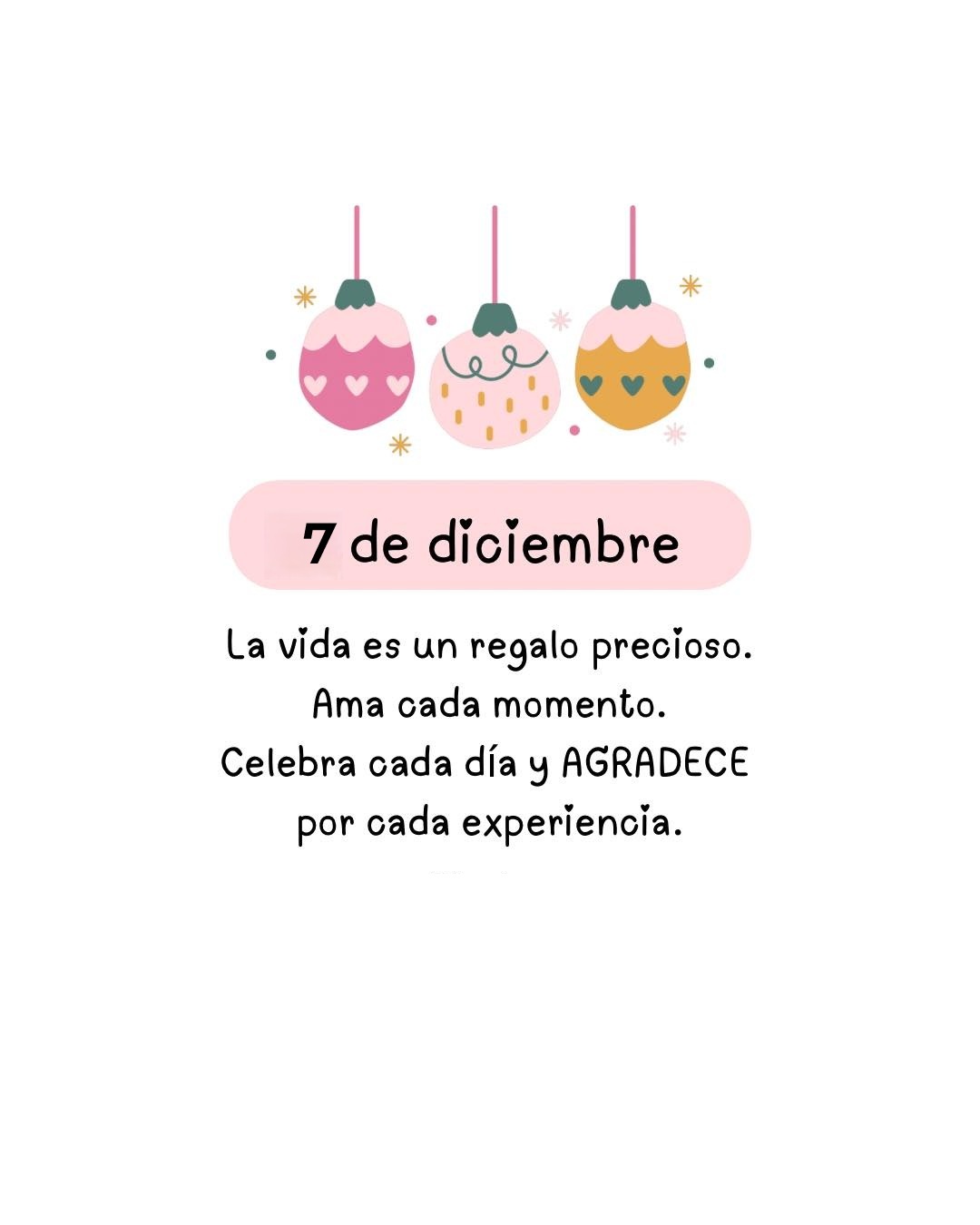 7 de Diciembre La vida es un regalo precioso. Ama cada momento