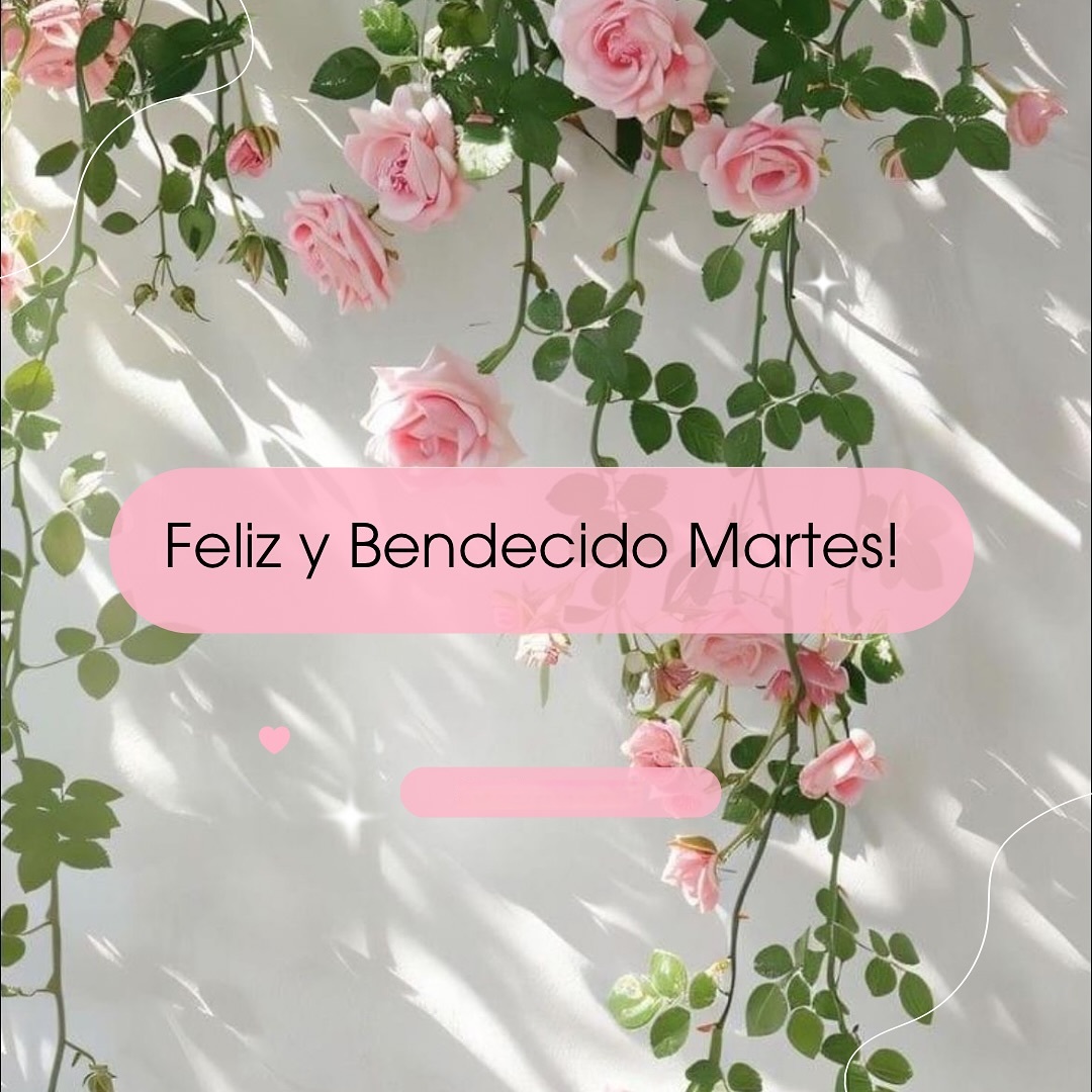 Feliz y bendecido Martes!