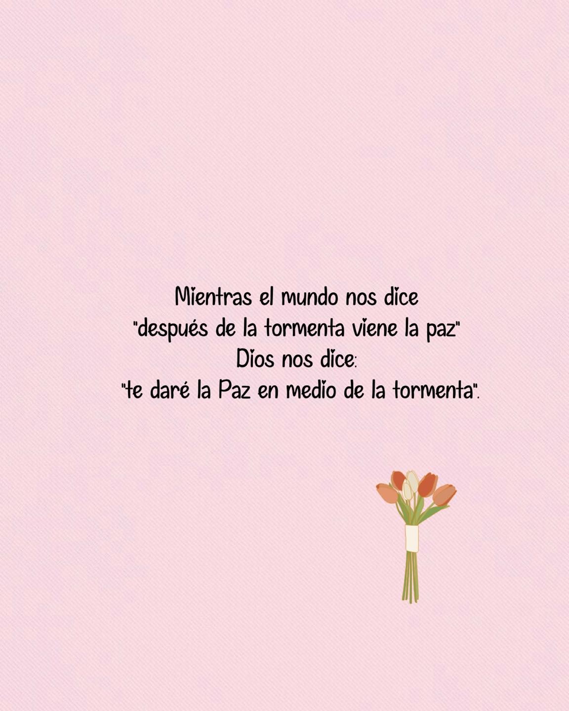 Dios nos dice te dare la paz en medio de la tormenta