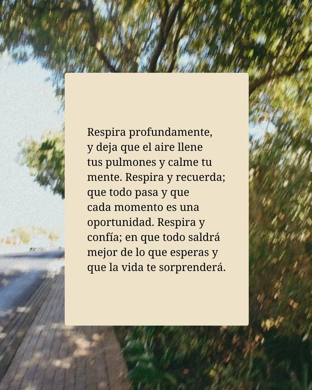 Respira profundamente, y deja que el aire llene tus pulmones y calme tu mente