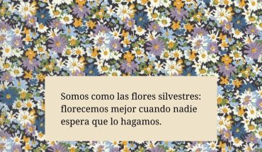 Somos como las flores silvestres:
