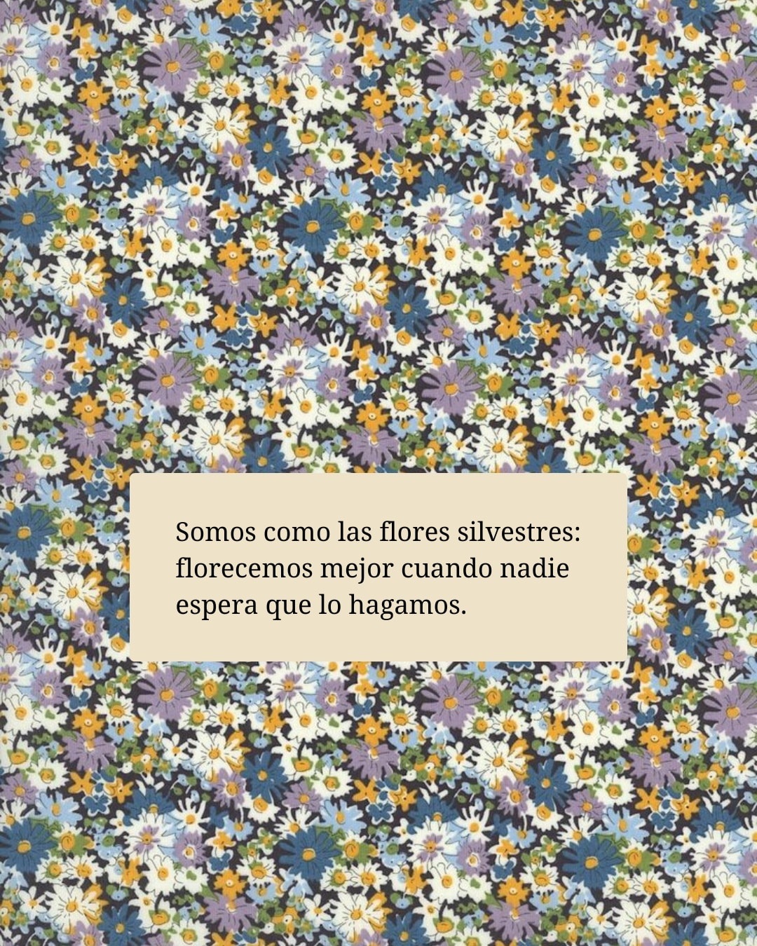 Somos como las flores silvestres: