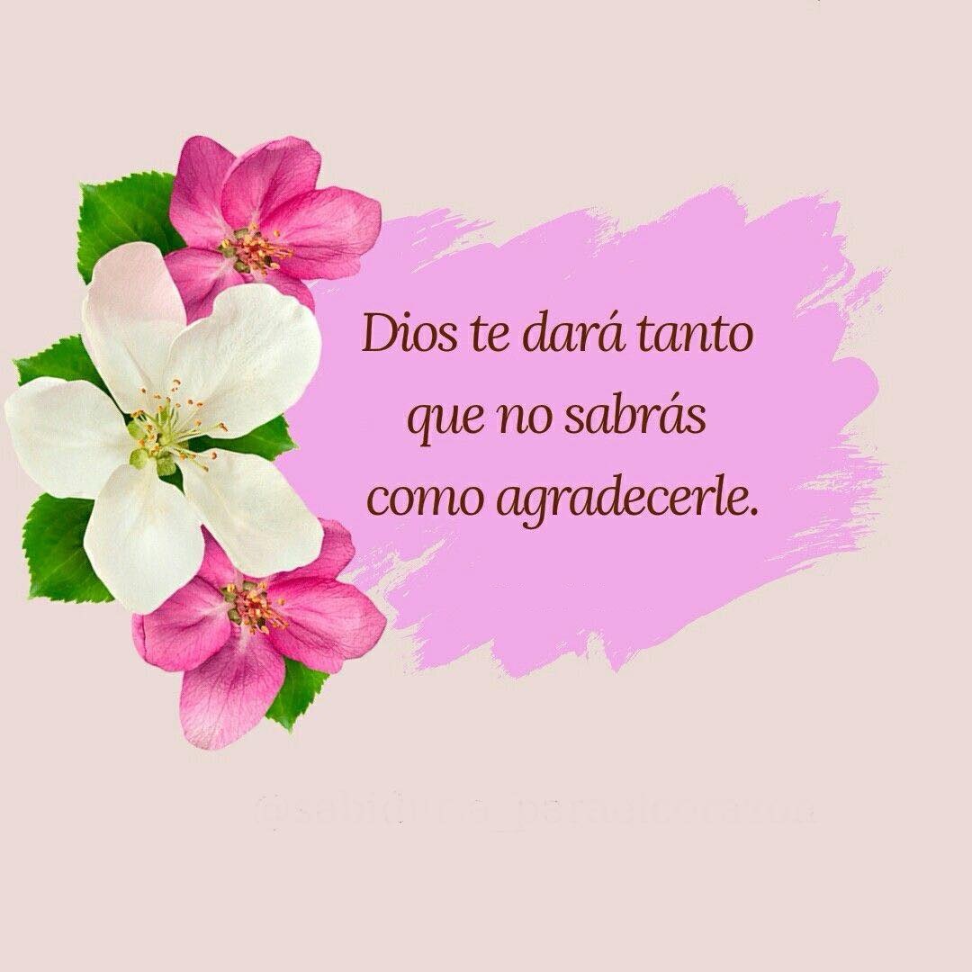 Dios te dará tanto que no sabras como agradecerle