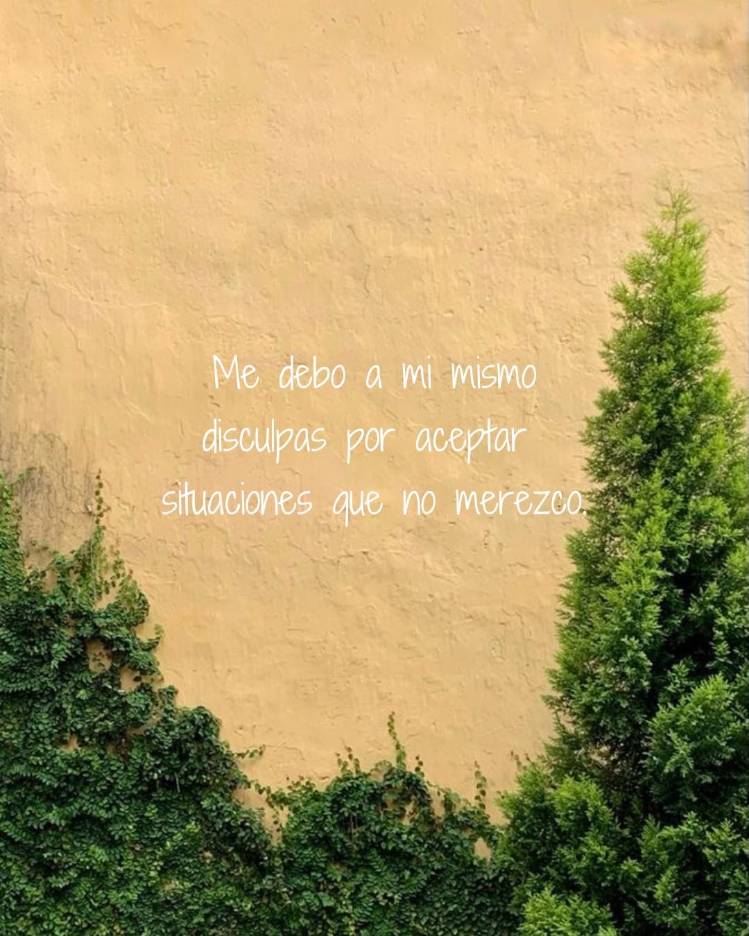 Me debo a mi mismo disculpas por aceptar situaciones que no merezco