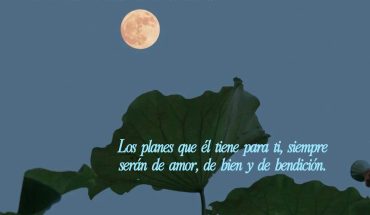 Hay tanta paz, en dejar que Dios tome las riendas de tu corazón