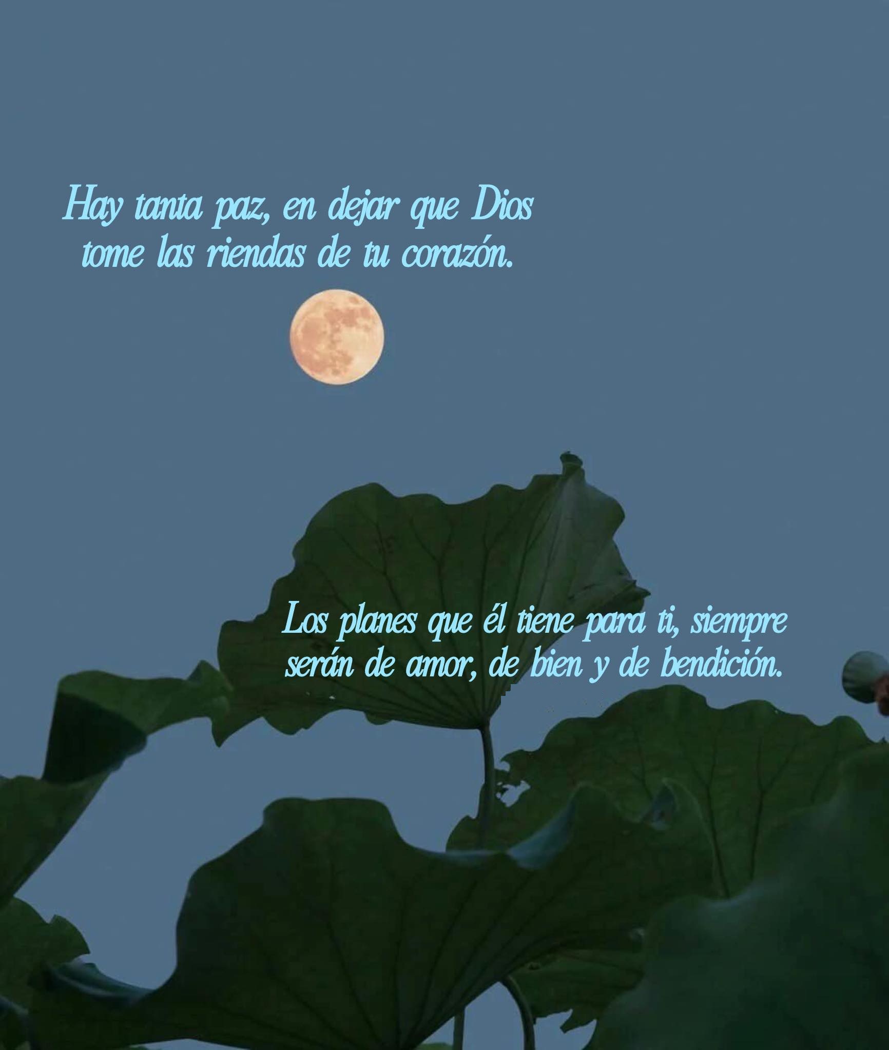 Hay tanta paz, en dejar que Dios tome las riendas de tu corazón