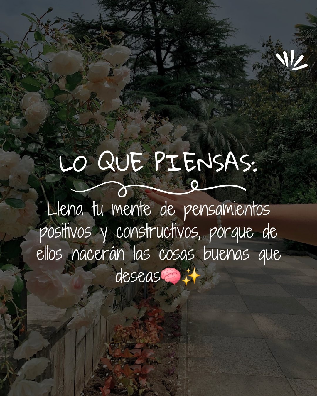 Lo que piensas: Llena tu mente de pensamientos positivos