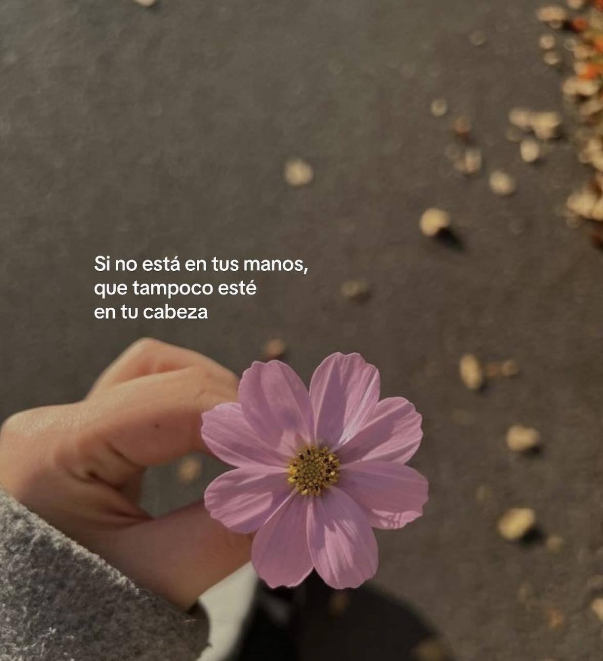 Si no esta en tu manos, que tampoco este en tu cabeza