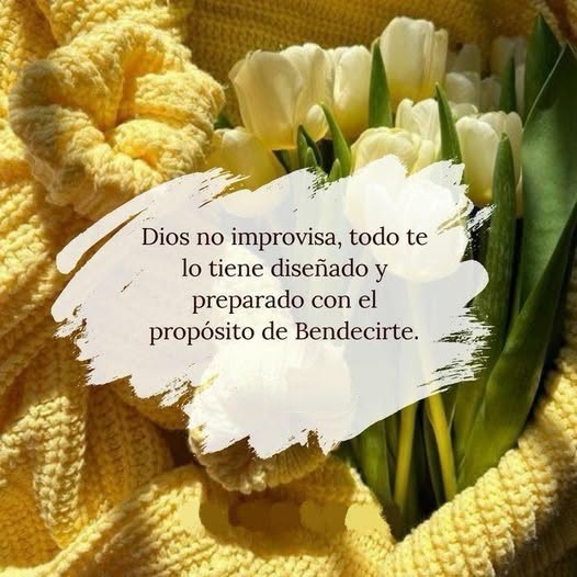Dios no improvisa, todo te lo tiene diseñado y preparado con el propósito de bendecirte